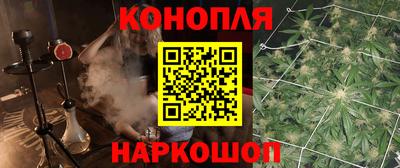 шишки Шахты