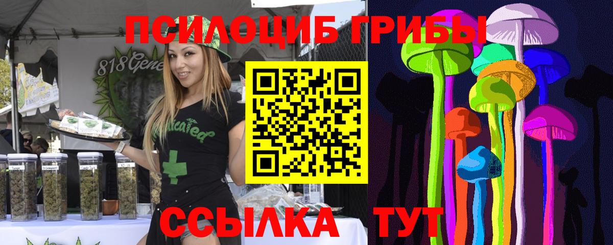 Галлюциногенные грибы Magic Shrooms Мурманск