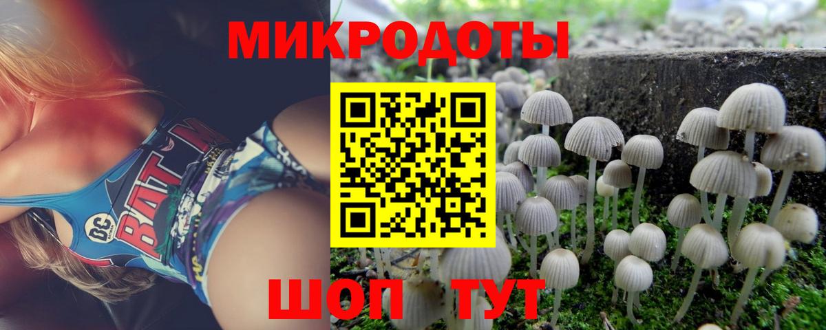 где можно купить наркотик  Вход с VPN  Мурманск  Галлюциногенные грибы GOLDEN TEACHER 